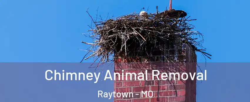Chimney Animal Removal Raytown - MO