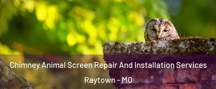  Chimney Animal Screen Repair And Installation Services Raytown - MO