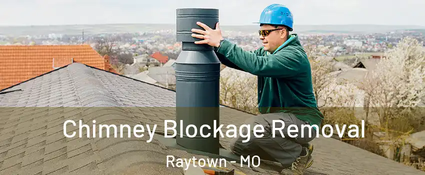  Chimney Blockage Removal Raytown - MO