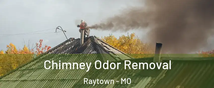  Chimney Odor Removal Raytown - MO