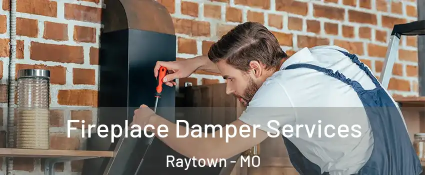  Fireplace Damper Services Raytown - MO