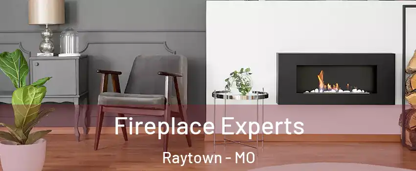  Fireplace Experts Raytown - MO