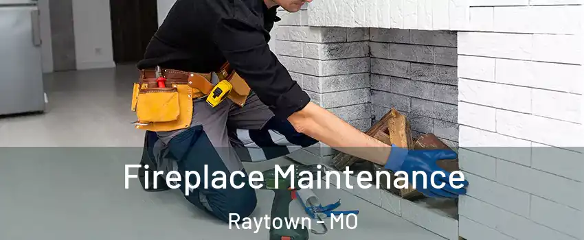  Fireplace Maintenance Raytown - MO