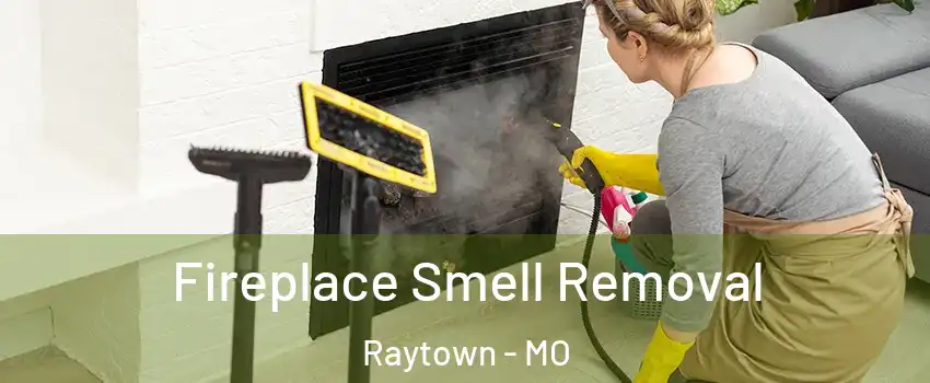  Fireplace Smell Removal Raytown - MO