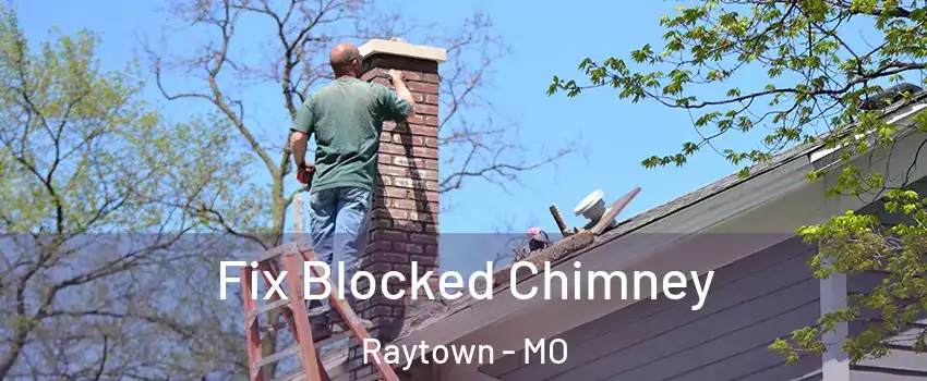  Fix Blocked Chimney Raytown - MO