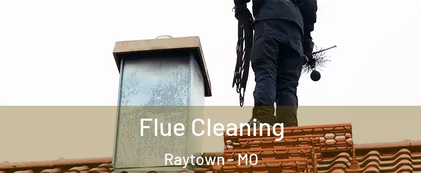  Flue Cleaning Raytown - MO