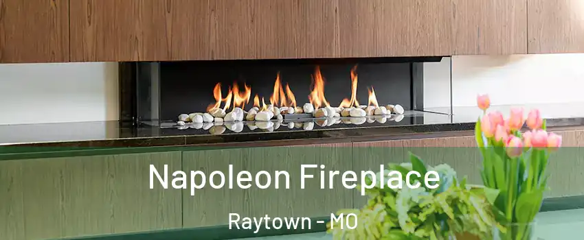  Napoleon Fireplace Raytown - MO