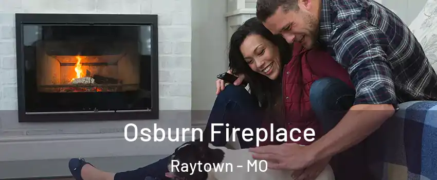  Osburn Fireplace Raytown - MO